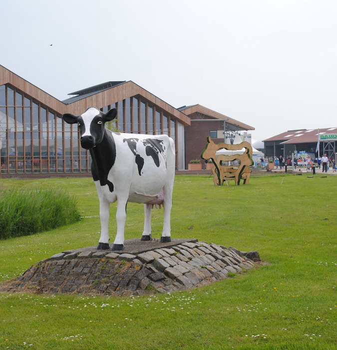 Statue of a cow in front of the Dairy Campus in Leeurwarden. 