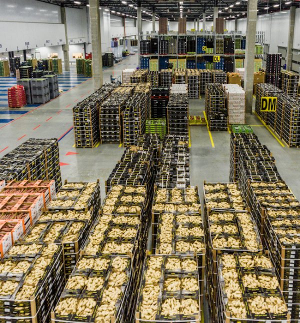 Drone view of Greenery vegetable warehouse