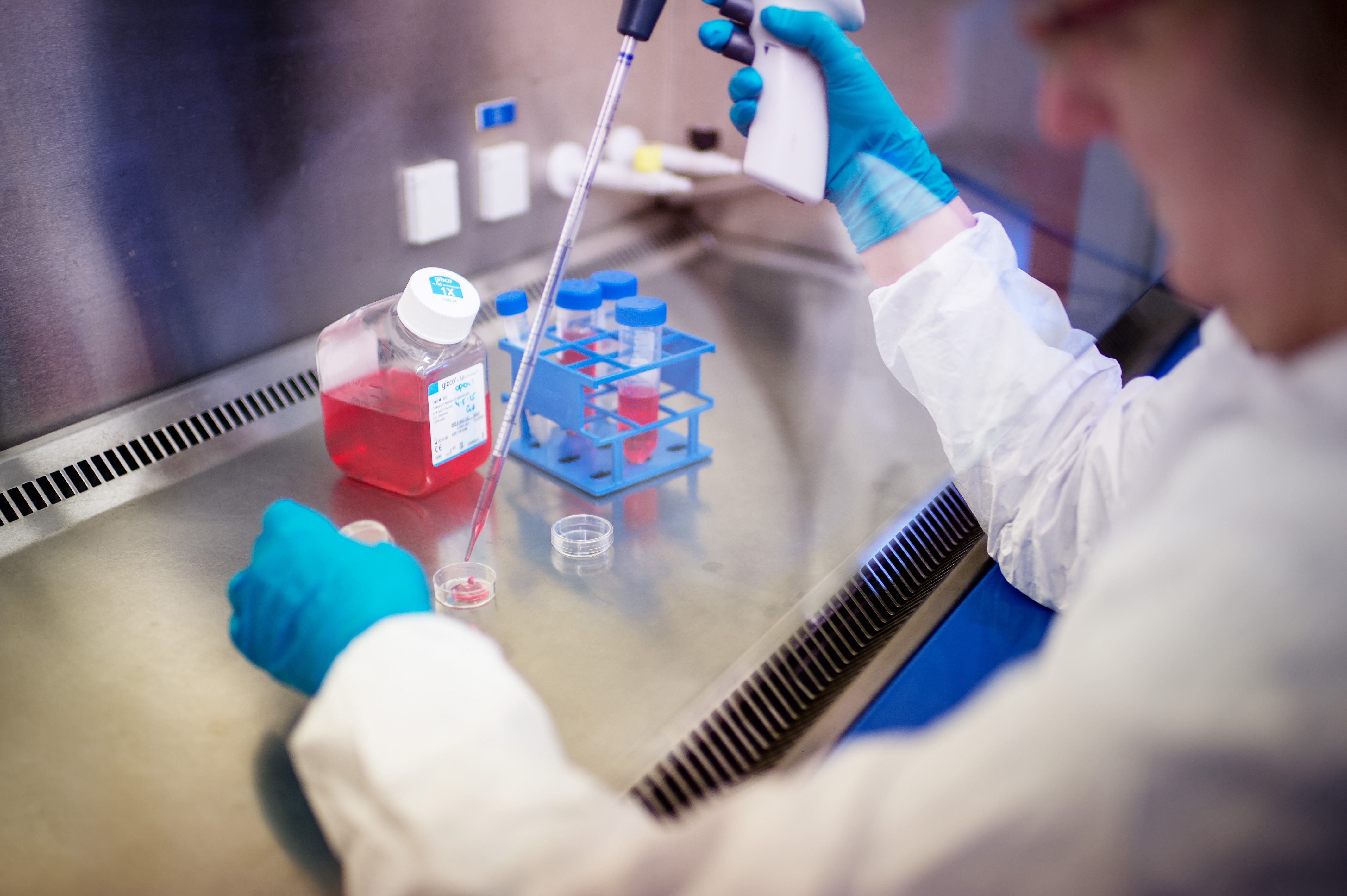 Researcher working with cell biotechnology