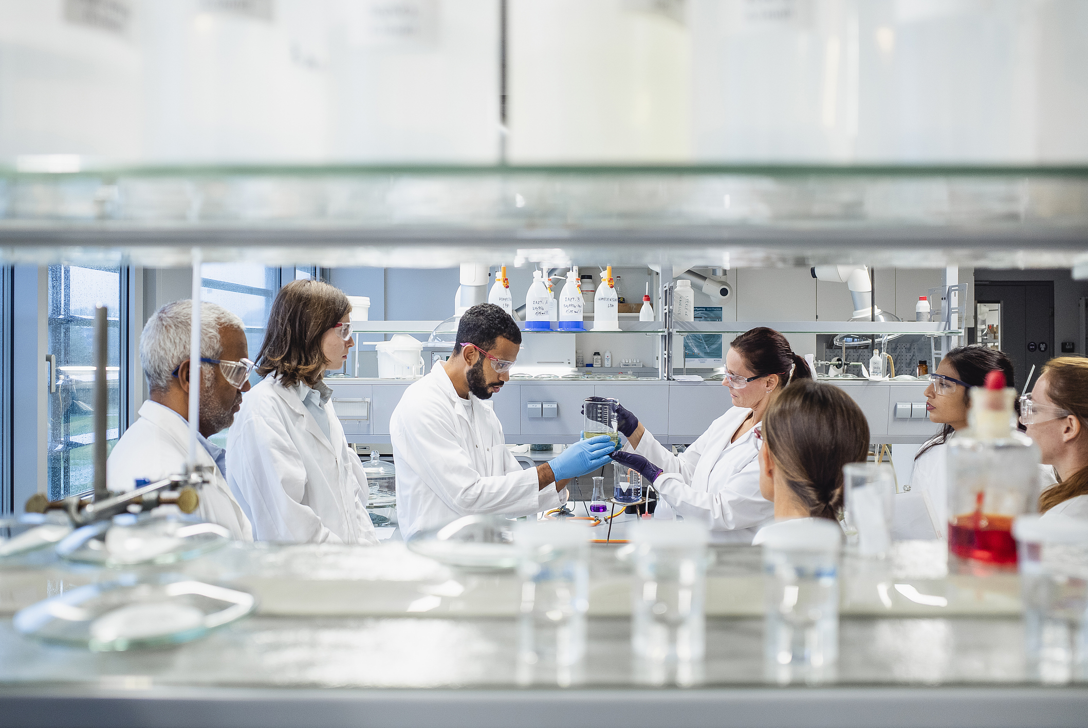 Researchers working together in a lab